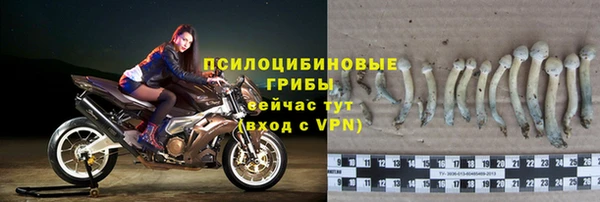 стаф Алексеевка