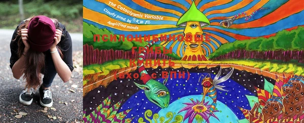MDMA Premium VHQ Алзамай