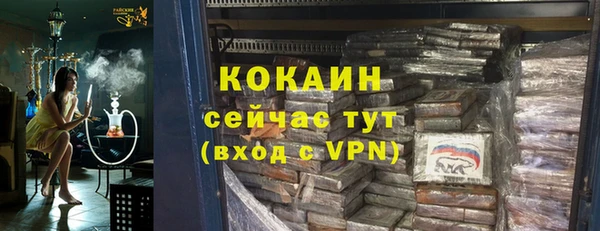 индика Зеленодольск