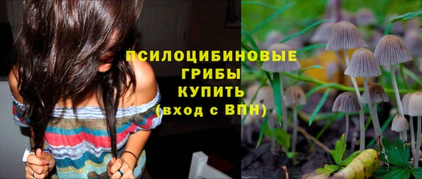 стаф Алексеевка