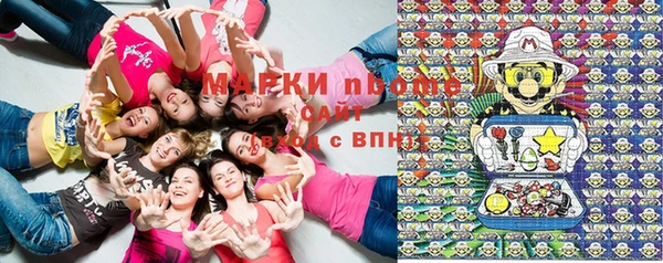 стаф Алексеевка