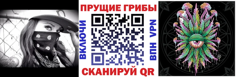Псилоцибиновые грибы GOLDEN TEACHER  где купить наркотик  Миньяр 